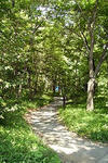 090820koukyo06.jpg