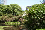 090820koukyo13.jpg