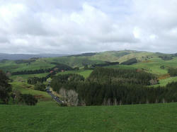 DSCF0129.JPG