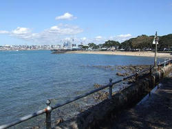 DSCF0336.JPG
