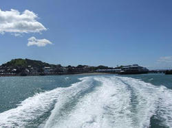 DSCF0340.JPG