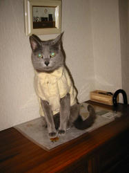 110-1093_IMG.JPG