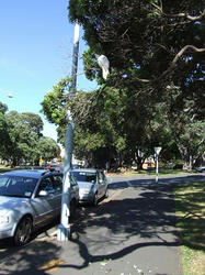 DSCF2361.JPG