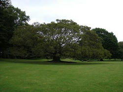 DSC00119.JPG