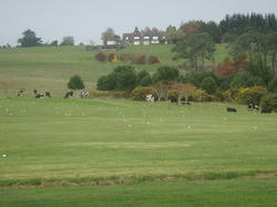 DSC00652.JPG