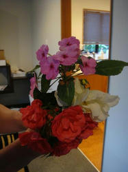 DSC01566.JPG