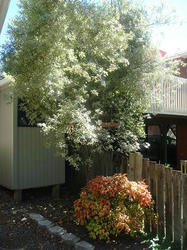 DSC02012.JPG