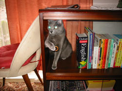 103-0354_IMG.JPG