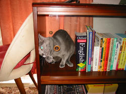 103-0357_IMG.JPG