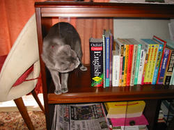 103-0358_IMG.JPG