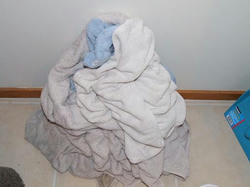 DSCF2670.JPG