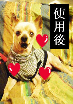 siyougo.jpg