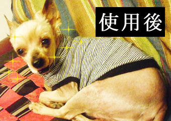 siyougo2.jpg