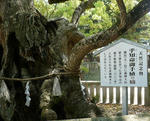 大山祇神社