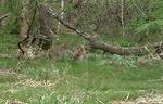 s-DSCF0019._6