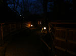 P1074464.jpg