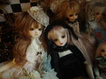 PA250043.jpg