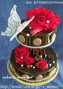 DSCN3245.jpg