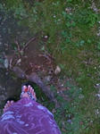 564272003_215.jpg