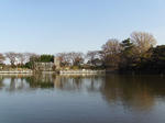 IMGP0315.JPG