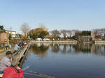 IMGP0316.JPG