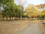 IMGP0326.JPG