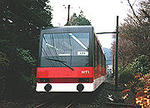 239481f7.jpg