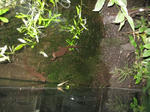 IMG_1286.JPG