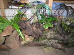 IMG_1746.JPG