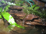 IMG_1763.JPG