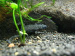 IMG_1865.JPG