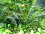 IMG_2479.JPG