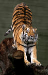 9a8919f5.jpg