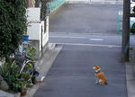 a1a4831b.jpg