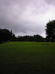20090723132617.jpg