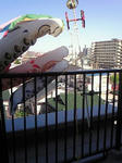 200904261446000.jpg