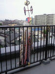 200905051237000.jpg