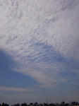 200908161008000.jpg