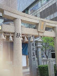 200908171034000.jpg