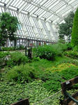 200908171009000.jpg