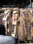 201001041225000.jpg
