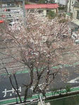 201003311344000.jpg