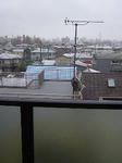 201004170628000.jpg