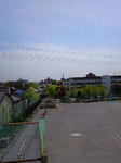 201004211224000.jpg