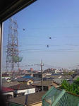 201005211429000.jpg