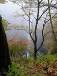 201010251151000.jpg