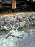 201010251316000.jpg
