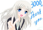 3000-s.jpg