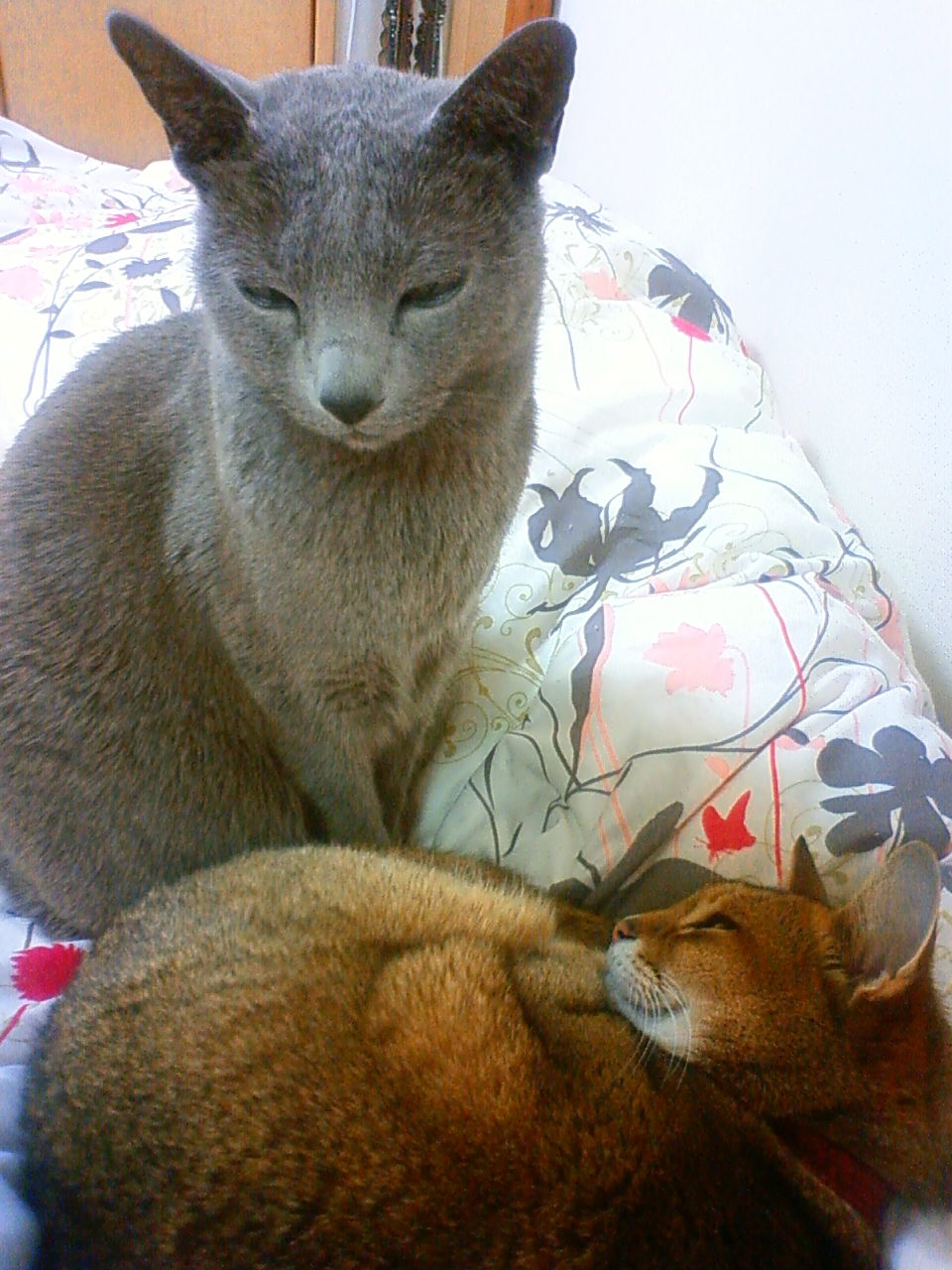 201002252325003.jpg