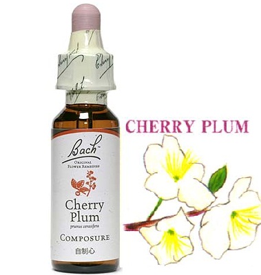 6.cherryplum